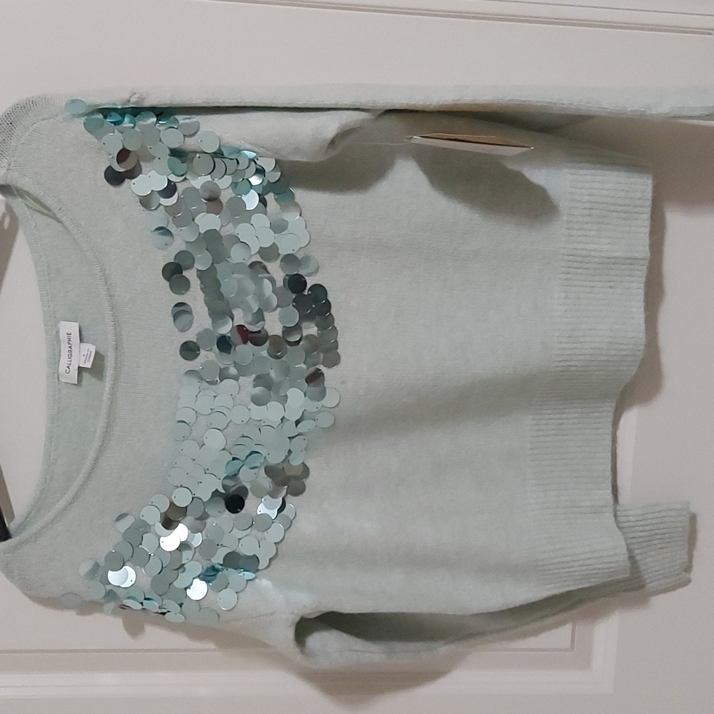 Calligraphie Mint Seafoam Sequin Women's Sweater